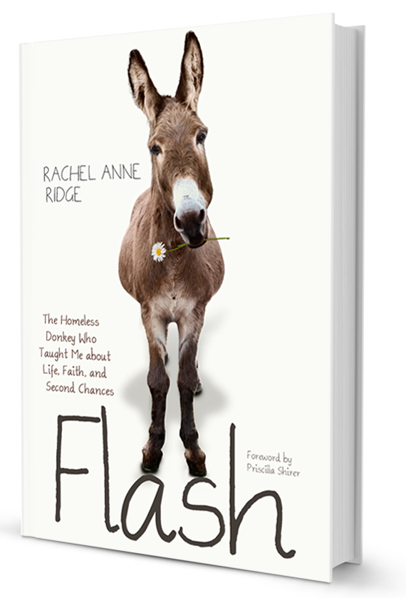 Flash Book Cover