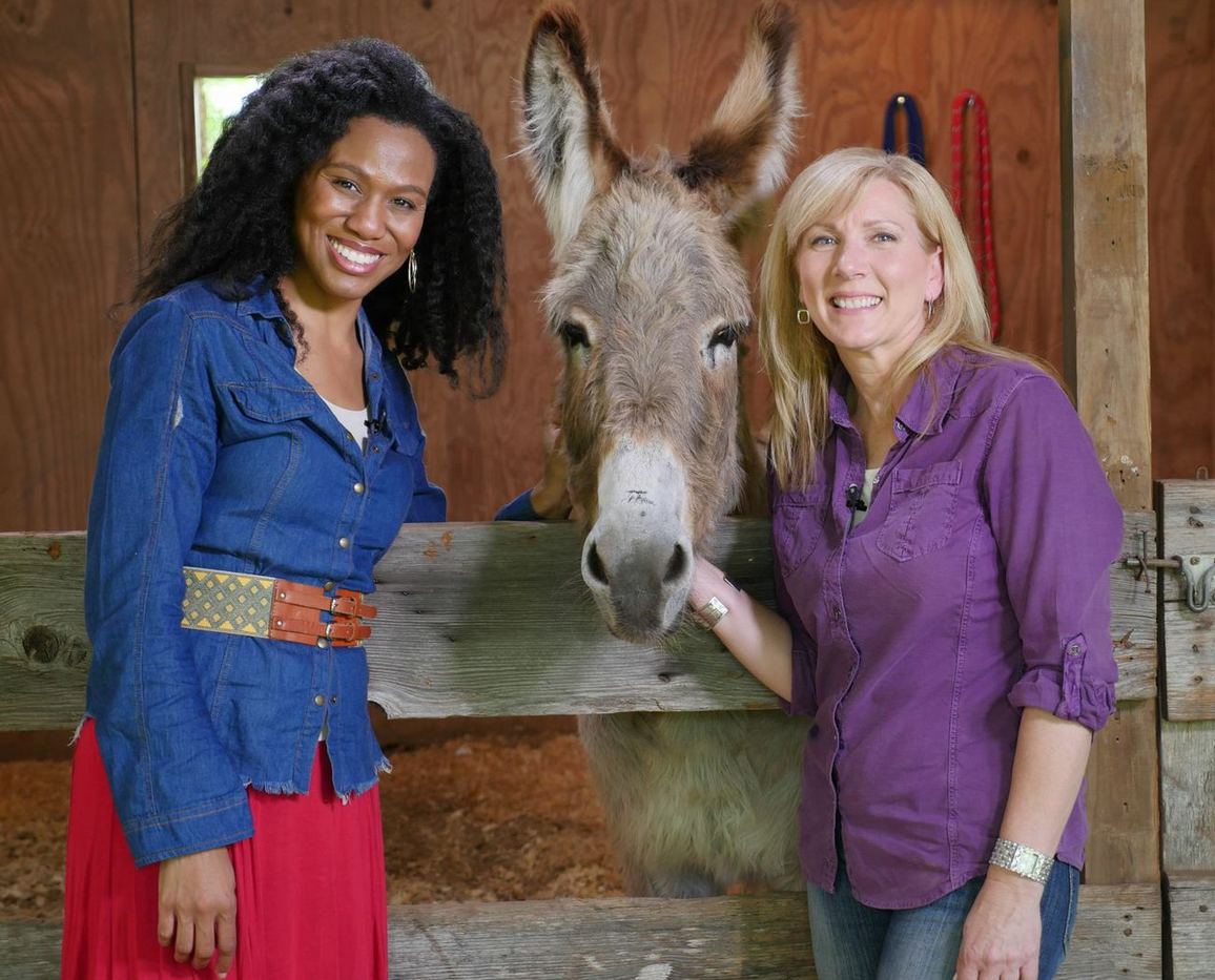 Priscilla, Flash, Rachel