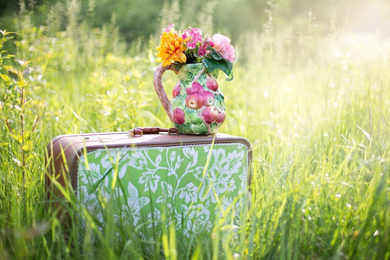 summer-still-life-785231_1280